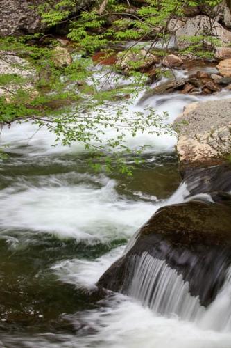 Boulder;Brook;Brown;Cascade;Cascading;Chute;Cool;Creek;Falls;Flow;Gold;Green;Pouring;Rapids;River;Rock;Rock Formations;Rocks;Stone;Stones;Stream;Streaming;Tan;Water;Waterfall;Waterfalls;flowing