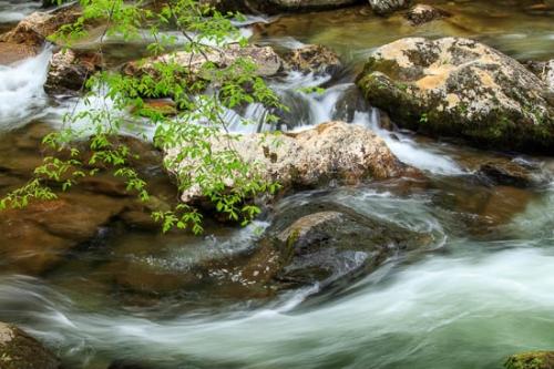 Boulder;Brook;Brown;Cascade;Cascading;Chute;Cool;Creek;Flow;Gold;Green;Pouring;Rapids;River;Rock;Rock Formations;Rocks;Stone;Stones;Stream;Streaming;Tan;Water;Waterfall;flowing