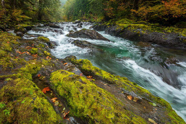 Aqua;Autumn;Boulder;Boulders;Brown;Calm;Cascade;Chute;Creek;Fall;Fallen;Fallen Leaves;Falls;Flow;Forest;Forested;Healing;Health care;Healthcare;Leaf;Moss;Nature;Olympic National Park;Pastoral;Pouring;River;Rock;Rock formations;Rocks;Rocky;Sol Duc Valley;Stone;Stones;Stream;Stream Bank;Streaming;Tan;Timber;Timberland;United States;Washington;Water;Waterfalls;Waterscape;Wood;Woodland;Woods;Yellow;flowing;foliage;green;landscape;leaves;oneness;peaceful;rapids;restful;river bank;serene;soothing;tranquil;trees;waterfall;zen