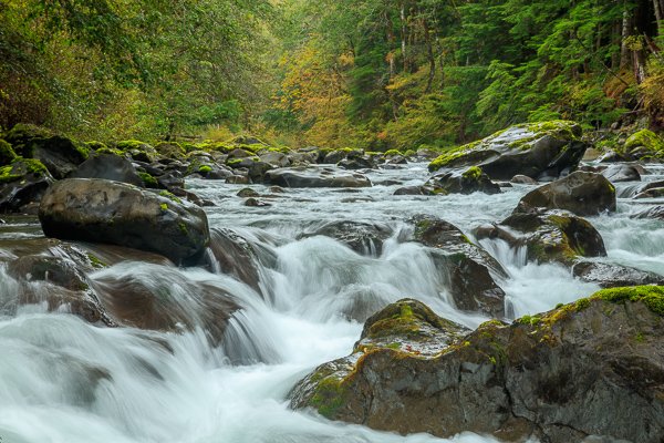 Aqua;Autumn;Boulder;Boulders;Brown;Calm;Cascade;Chute;Creek;Fall;Falls;Flow;Forest;Forested;Healing;Health care;Healthcare;Moss;Nature;Olympic National Park;Pastoral;Pouring;River;Rock;Rock formations;Rocks;Rocky;Sol Duc Valley;Stone;Stones;Stream;Stream Bank;Streaming;Tan;Timber;Timberland;United States;Washington;Water;Waterfalls;Waterscape;Wood;Woodland;Woods;Yellow;flowing;foliage;green;landscape;leaves;oneness;peaceful;rapids;restful;river bank;serene;soothing;tranquil;trees;waterfall;zen
