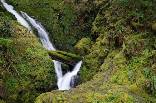 Bluff;Canyon;Cascade;Cascading;Cliff;Cool;Cumberland Plateau;Flow;Flowing;Pouring;Rock Face;Rock Formations;Sheer;Spray;Steep;Stream;Water;Waterfall;Wet