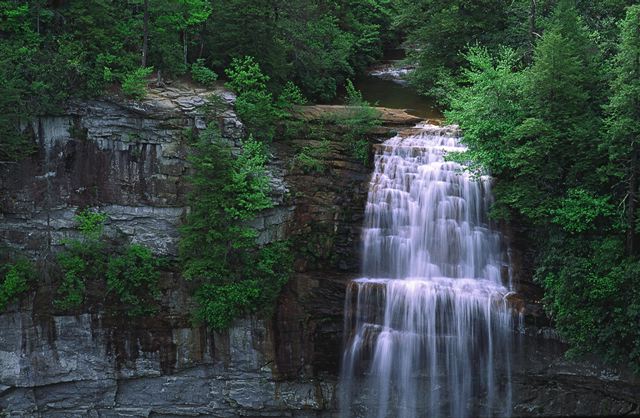 Cliff;Rock Face;Sheer;Steep;Waterfall;Stream;Water;Flowing;Pouring;Cool;Wet;Flow;Cascade;Cascading;Spray;Cataract;Falls;Chute;Falling;Spilling;Cumberland Plateau;Canyon;Bluff;Rock Formations;Rocks;Rock;Boulder;Boulders;Stones;Pebble;Pebbles;Stone
