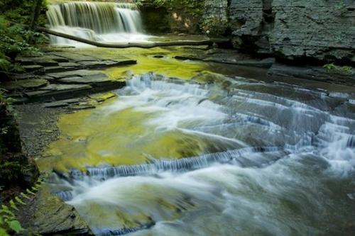 Water;Reflections;Cool;River;Wet;Rock formations;Cascade;New York;Rocks;Spray;Boulder;Riverbed;Moravia;Falls;Waterfalls;Falling;Rock;Pouring;Geological;Stone;Flow;Waterfall;Rivers;Rivulet;Streamlet;flowing;Cataract;Creek;waterway;Chute;Geology;Spilling;Cascading;Stream;Brook;Striation;Fillmore Glen State Park;Reflection