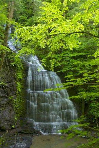 Waterfalls;Rivulet;Falling;Cascade;Pouring;Woods;Moravia;Cool;Wet;Brook;Streamlet;flowing;New York;Timber;Forest;Chute;Timberland;Water;Waterfall;Flow;Wood;Creek;Falls;Spilling;Woodland;Stream;Cataract;Spray;Fillmore Glen State Park;Cascading