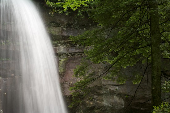 Bark;Boulder;Brook;Bubbling;Cascade;Cascading;Cataract;Chute;Cliff;Cool;Creek;Falling;Falls;Flow;Flowing;Forest;Great Smoky Mountains National Park;Gush;High;Journey;Leaf;Leaves;Ledge;Mountain;Mountain Top;Natural;Nature;Outdoors;Path;Peak;Plants;Pouring;Power;Powerful;Precipice;Rapids;River;Rivulet;Road;Rock Face;Rock Formations;Rocks;Scenic View;Scenics;Sheer;Spilling;Spray;Steep;Stream;Streamlet;Summit;Tennessee;Torrent;Trail;Trees;Tributary;Vertical;Water;Waterfall;Wet;White Water;Woodland;Woods