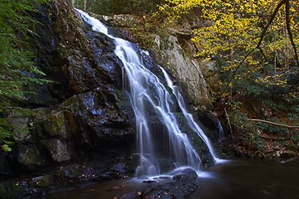 Waterfall;Stream;Water;Flowing;Pouring;Cool;Wet;Flow;Cascade;Cascading;Spray;Forest;Trees;Leaves;Leaf;Plants;Woods;Bark;Outdoors;Nature;Natural;Woodland;Creek;Brook;Rivulet;Tributary;Gush;Streamlet;Torrent;White Water;Rapids;Bubbling;River;Cliff;Rock Face;Sheer;Steep;Cataract;Falls;Chute;Falling;Spilling;Fall Scenes;Autumn;Botanical;Vegetation;Foliage;Veins;Compound;Leaflet;Rocks;Rock;Boulder;Boulders;Rock Formations;Stones;Pebble;Pebbles;Stone