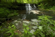 Waterfall;Tennessee;Williamson-County;Stream;Water;Flowing;Pouring;Cool;Wet;Flow