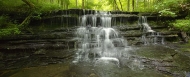 Waterfall;Tennessee;Williamson-County;Cliff;Rock-Face;Sheer;Steep;Stream;Water;F