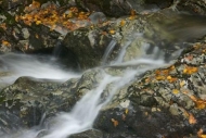 Cascading;Stream;Water;Landscape;Cascade;Stones;Orange;Gray;Foliage;Streamlet;Ro