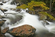 Creek;Brook;Boulders;Cascade;Cascading;White;Yellow;Waterfall;Water;Waterfalls;W