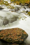Spilling;Striation;Streamlet;Cascade;Boulders;Foliage;Great-Smoky-Mountains-Nati