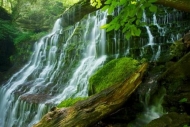 Water;Waterfall;Stream;Forest;Tennessee;tree-trunk;Chute;Falls;Falling;Spilling;