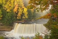 Water;Michigan;Waterfalls;Falls;Trees;Tahquamenon-Falls;Streaming;Waterfall;Uppe
