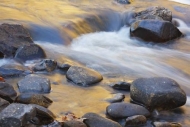 Stones;Blue;Streaming;Water;Waterfall;Gray;Rock;Chute;Boulders;Stream;Leaf;Water