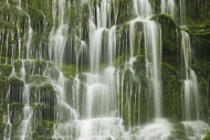 Waterfalls;Short-Springs-State-Natural-Area;Pouring;Streaming;Machine-Falls;Fall
