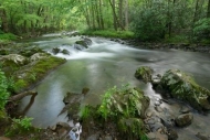 Rock;Trees;Stones;flowing;Spring;Little-River;Stone;flow;river;Green;Landscape;T