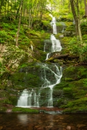 Brown;Buttermilk-Falls-State-Park;Calm;Cascade;Chute;Falls;Ferns;Healing;Health-