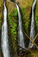 Cascade;Chute;Falls;Green;Oregon;Pouring;Streaming;Waterfall
