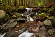 Boulder;Chute;Cool;Falling;Falls;Flow;Forest;Geological;Geology;Plants;Rock;Rock