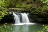Cataract;flowing;Pouring;Cool;Cascade;Landscape;Water;Waterfalls;Green;Wet;Chute