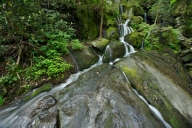 Cascade;Cascading;Cool;Flow;Flowing;Great-Smoky-Mountains-National-Park;Pouring;