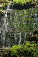 Chute;Cool;Falling;Falls;Flow;Flowing;Forest;Green;Machine-Falls;Short-Springs-S