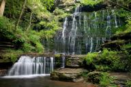 Chute;Cool;Falling;Falls;Flow;Flowing;Forest;Green;Machine-Falls;Short-Springs-S