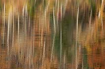 Abstract of trees reflecting in the surface of a river in the fall